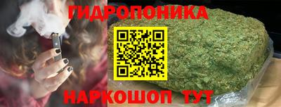 гидропоника Гусиноозёрск