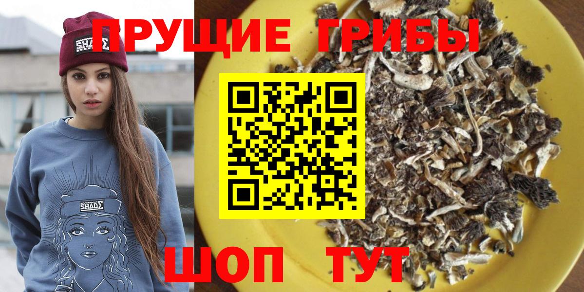 Псилоцибиновые грибы ЛСД  Вход с VPN  наркотики  Надым 