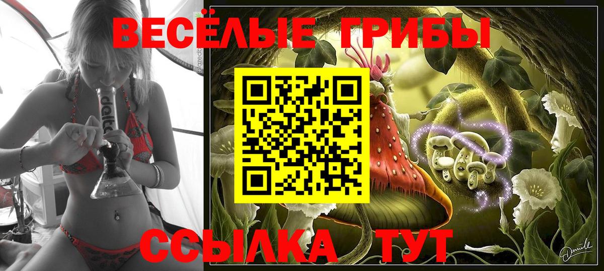 Галлюциногенные грибы мицелий Надым