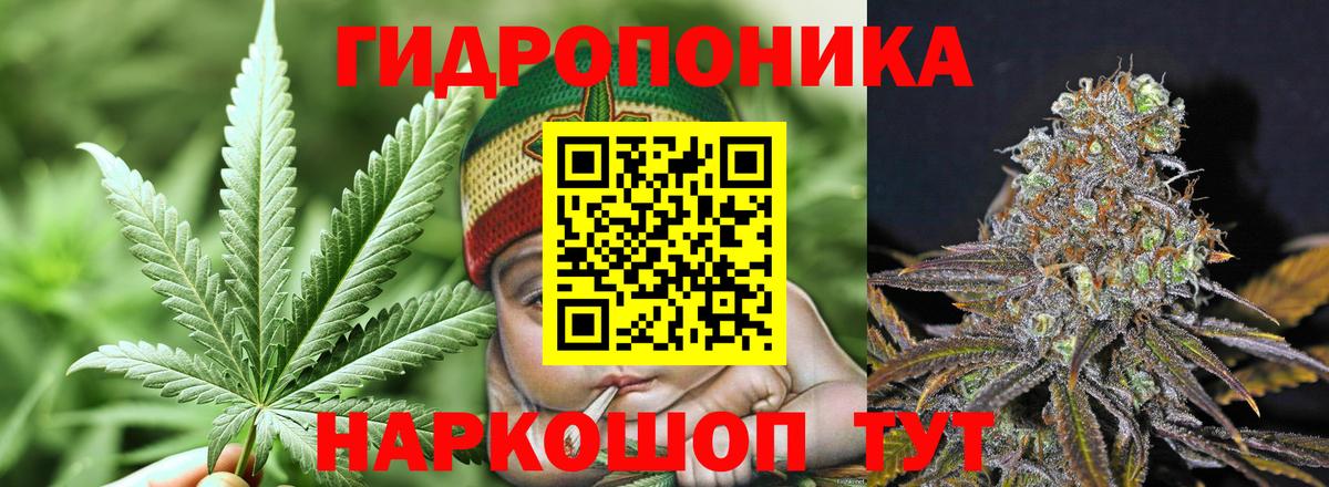 МАРИХУАНА White Widow Надым